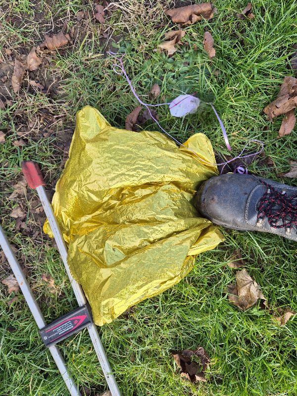 BBullrushes's tweet image. Lots of 🌞 again whilst we did our #litterpick. Back to the #flytip &amp;amp; found a gas cylinder as well as NOx canisters. The usual bush gave up a bag of #litter, another 🎈 caught in a 🌳 on its way to heaven 🤨 &amp;amp; the crocuses are starting to show. @KeepBritainTidy @LitterReporting