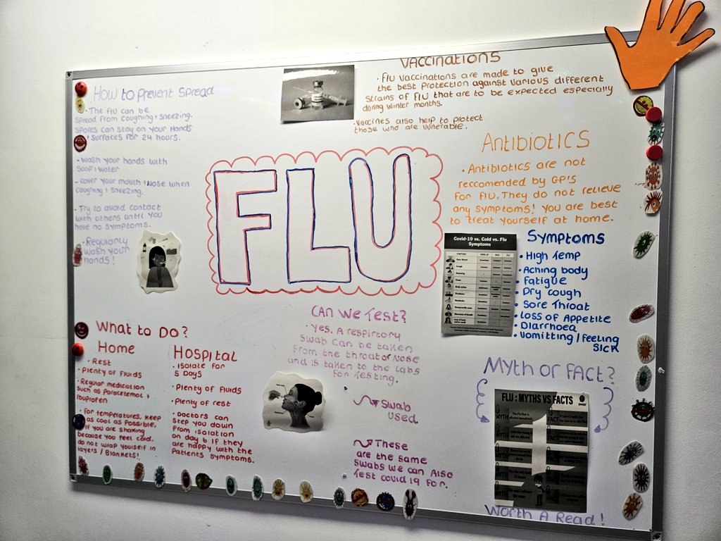 MNursMichelle's tweet photo. I almost forgot! An amazing infection prevention board on #SWLU all about flu from the amazing @amy_holt9992250. All facts and debunking the 'onion in a sock can cure flu' myth 🤣 https://t.co/SCmZu3aI62