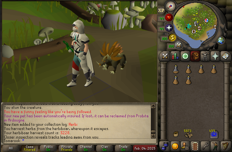 Tomarook_RS's tweet photo. Pet #11 - Herbi #osrs https://t.co/seFQ2AqtzC