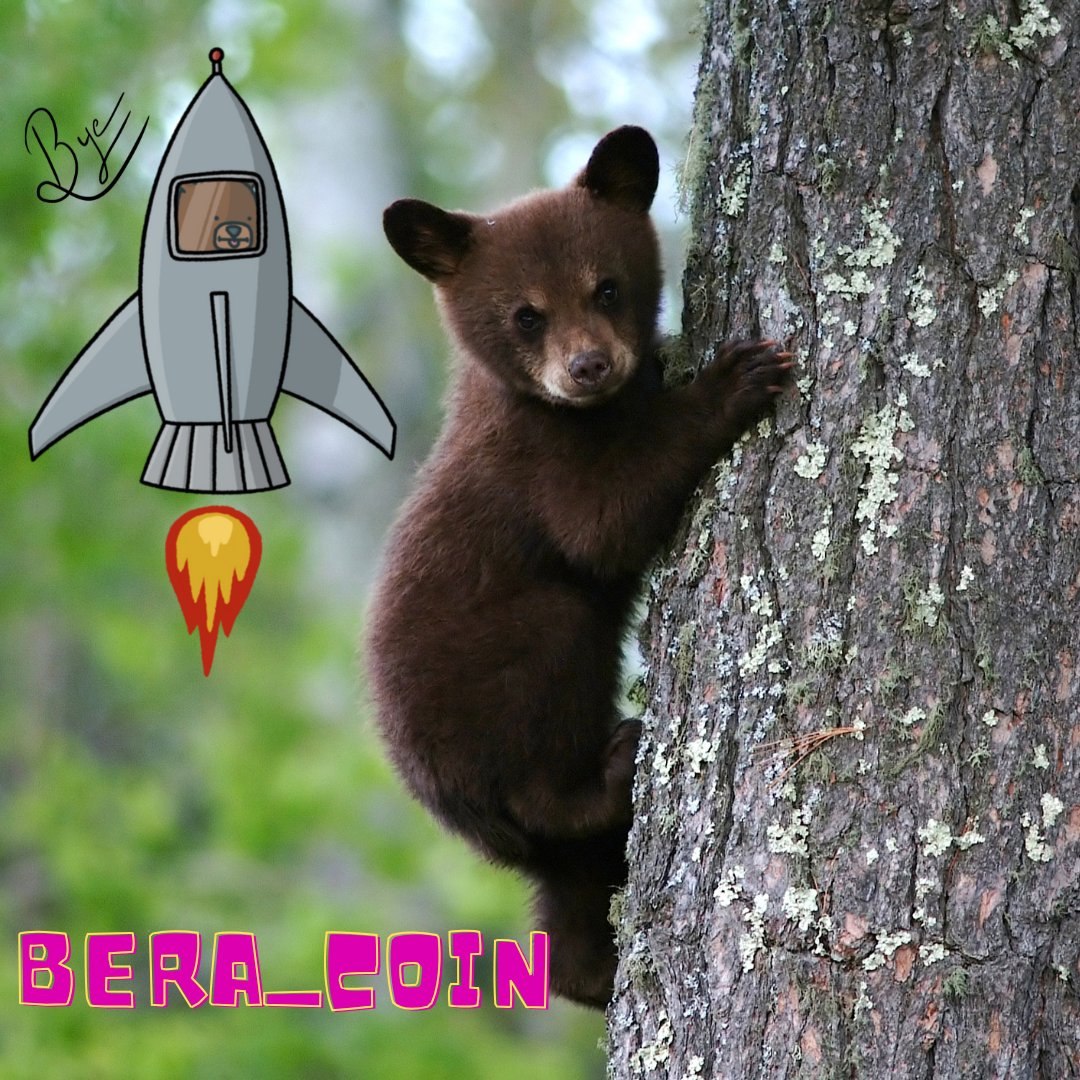 grizzyfi @Bera_Coin BIG SHRIMP PREDICTION !! BERA COIN WILL MOON 6th feb