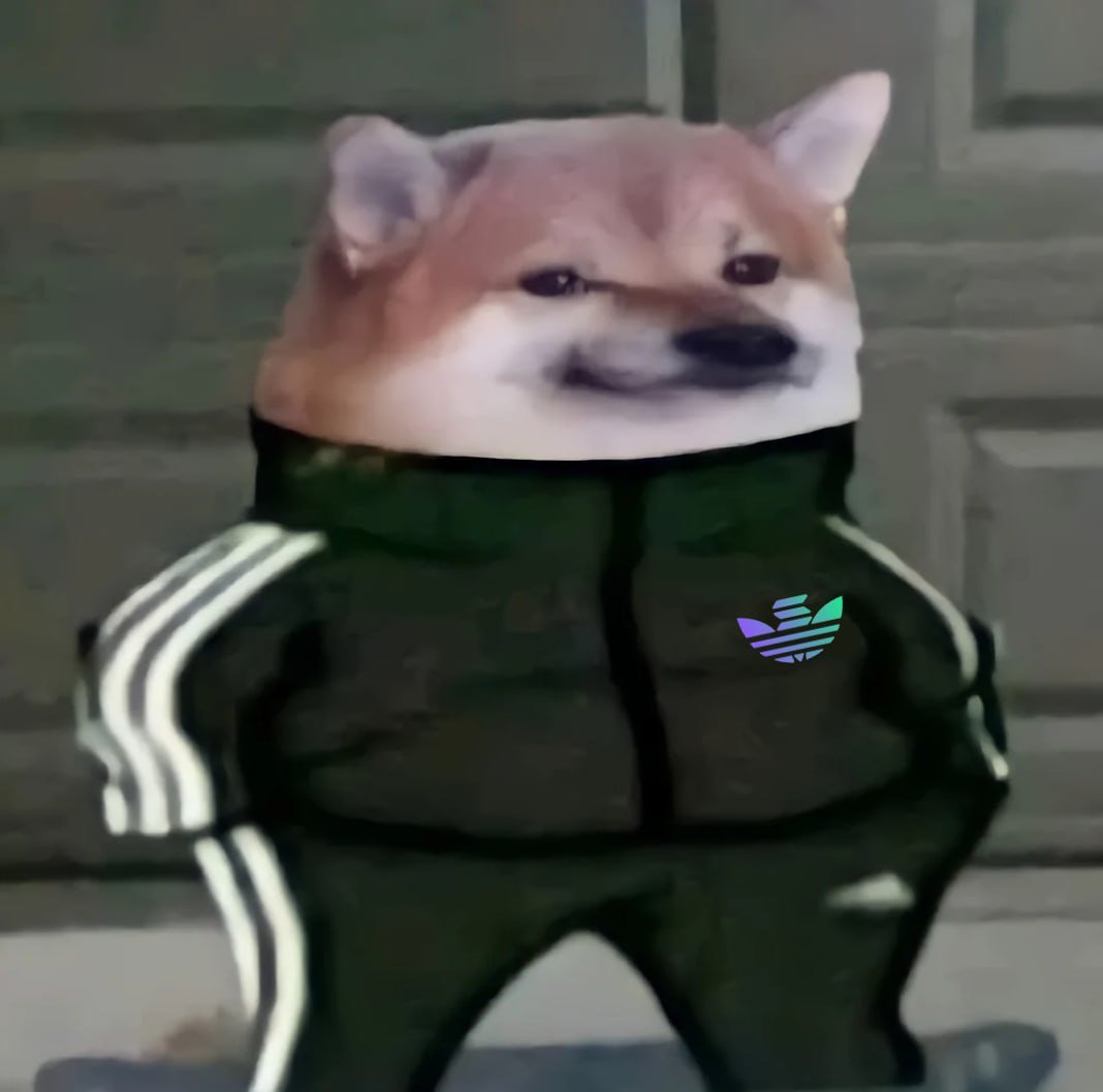 Me when solana passes ATH