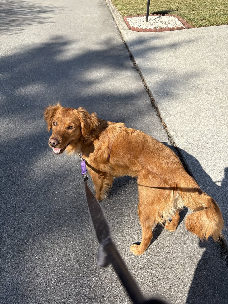 Feb 4th and enjoying spring like weather with this beauty.