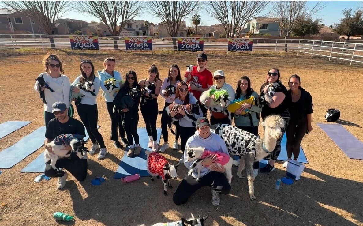 TicketManager's tweet image. 🌵Celebrating a Great 2024 in AZ🌵

Last week, our team traveled from across the world for our annual Arizona meeting.

Nothing beats having the entire Team #TicketManager together on-site!

🍻 Here&apos;s to a successful 2024 and an even better &apos;25! 🍻

#SportsBusiness x #SportsTech