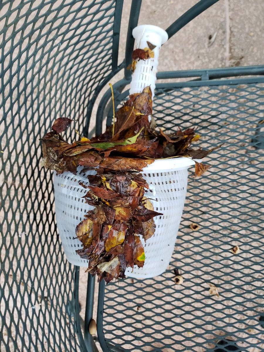 Skimmer baskets can get out of control....get a SkimPro today and save your pump!