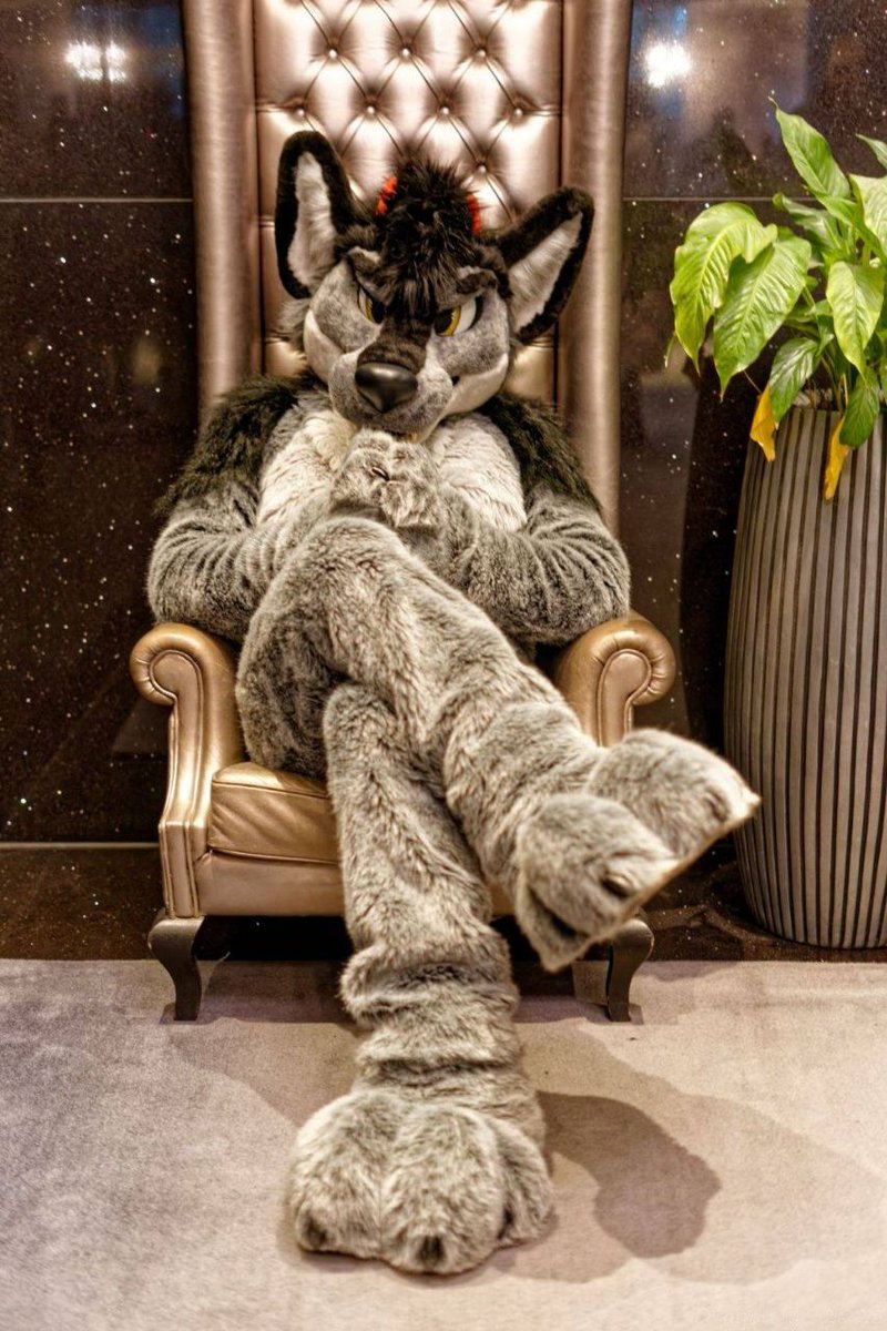 Sophisticated, dangerous, and slightly disappointed in you.