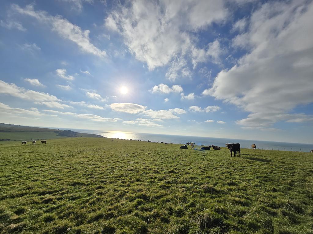 bwcarrfarms's tweet photo. Every field full of beef. The farm is now holding three times the amount of cattle through the winter with a summer rest period. Offering #habitat for important #invertebrates #butterflies #bees #mice #voles and so on. The winter #beef and farmland birds. 🤝 https://t.co/gYmRVvTgg1