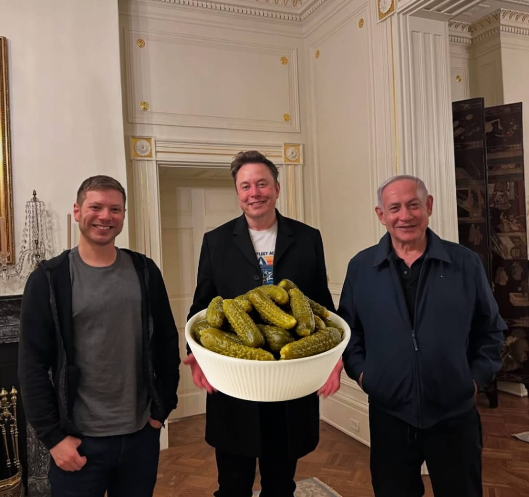 YotYotam's tweet image. לא יפה איילון
