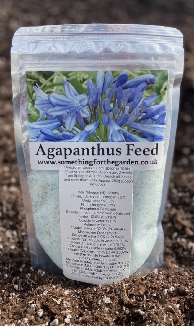 GreatAgapanthus's tweet photo. It’s that time of year again to start feeding your #Agapanthus. Over many years we have developed a high potash soluble feed with trace elements. It gets 5⭐️ratings and fantastic feedback from customers, producing better blooms and stronger plants! https://t.co/9eQ8XBRbue https://t.co/XYgKYpyHC1