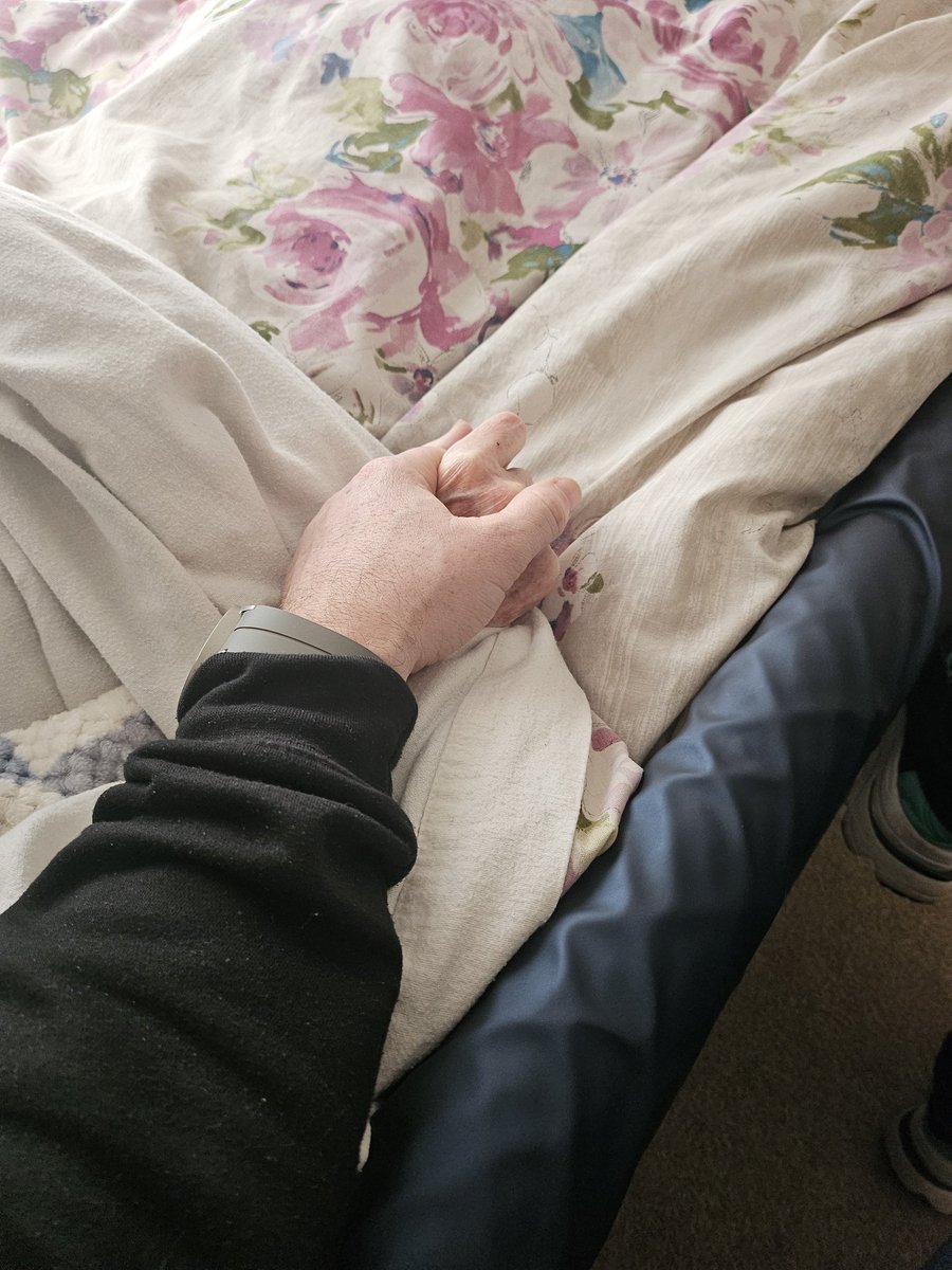 Daniel Graham tweet media