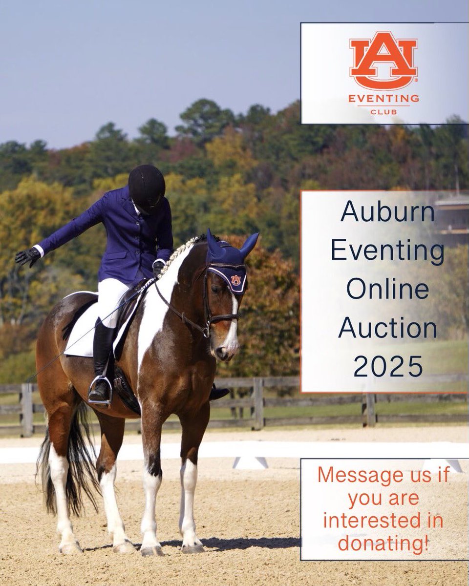 Our online auction is coming up and there is still time to make this our best yet! It is February 24-28, and donations will be accepted until then. Proceeds will help fund riders at USEA Intercollegiate Championships! If you or your company are interested, feel free to message!