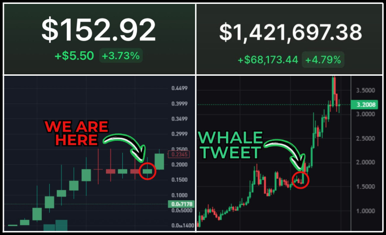 leshka_eth's tweet photo. Those whales bought all memes before the +10,000% pump

The made on average ~150x on $VINE and ~240x on $JELLYJELLY

Now they're accumulating new memes

Here's 4 insider wallets I found and tokens they accumulate 🧵👇 https://t.co/CeGFKtNLMe