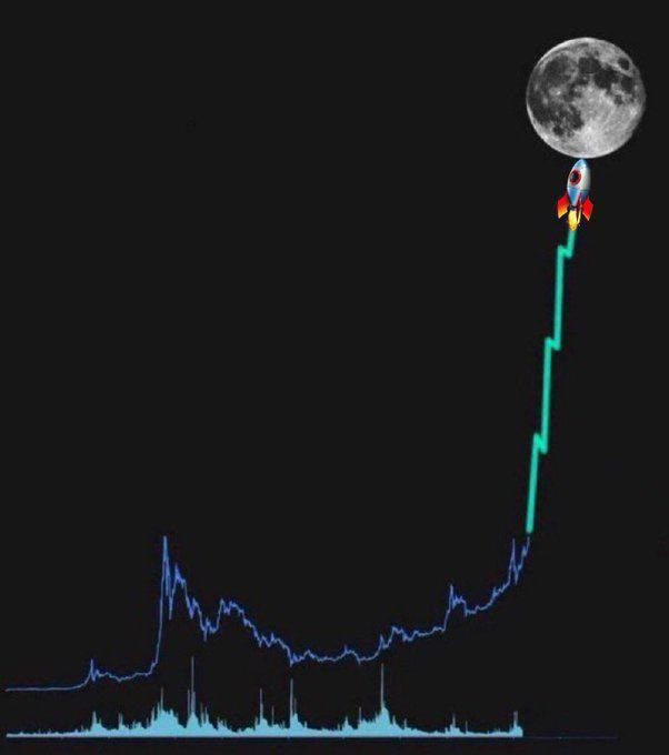 wiseadvicesumit's tweet photo. Which #Altcoin chart will look like this next? 👇 https://t.co/dF62QYePa0