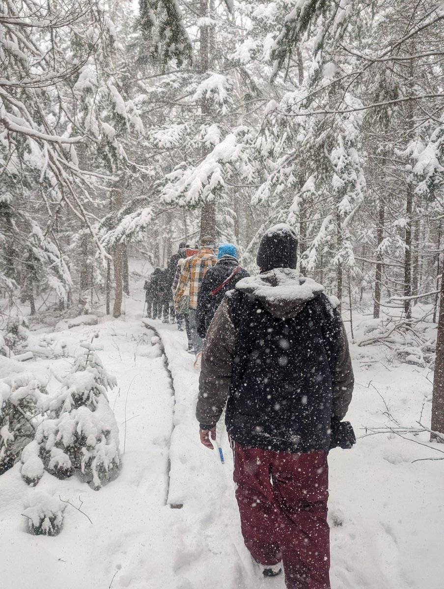 HikeNS's tweet photo. It was a stunning snowy day for a #WinterGuidedHike on the #UpperClements Trails last week! Amazing turnout with lots of memories made!!
https://t.co/b0forkkGyk https://t.co/b097ezb0vc