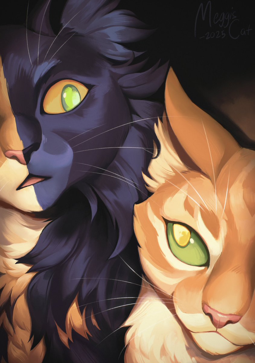Two Faced Twin
#warriorcats