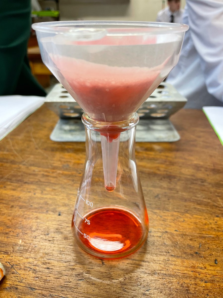 SibfordScience's tweet photo. Our #Year10 students have been learning about #DNA extraction this week. Did you know you can extract DNA from strawberries by using salt, water, washing up liquid and ice cold methanol?
Aren’t the results fantastic!
@SibfordOxon #SibfordScience #KS4 #Biology #practicalwork https://t.co/JbehcvD9Vz