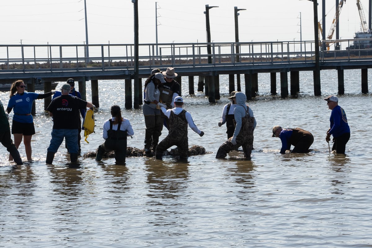 NOLASuperBowlHC's tweet photo. Yesterday, the New Orleans Super Bowl Host Committee participated in the Leeville Living Shoreline Build to install a living shoreline made of 59 tons of recycled oyster shells. A big step in fighting coastal erosion &amp; protecting communities! https://t.co/Sv7UhUcUDS