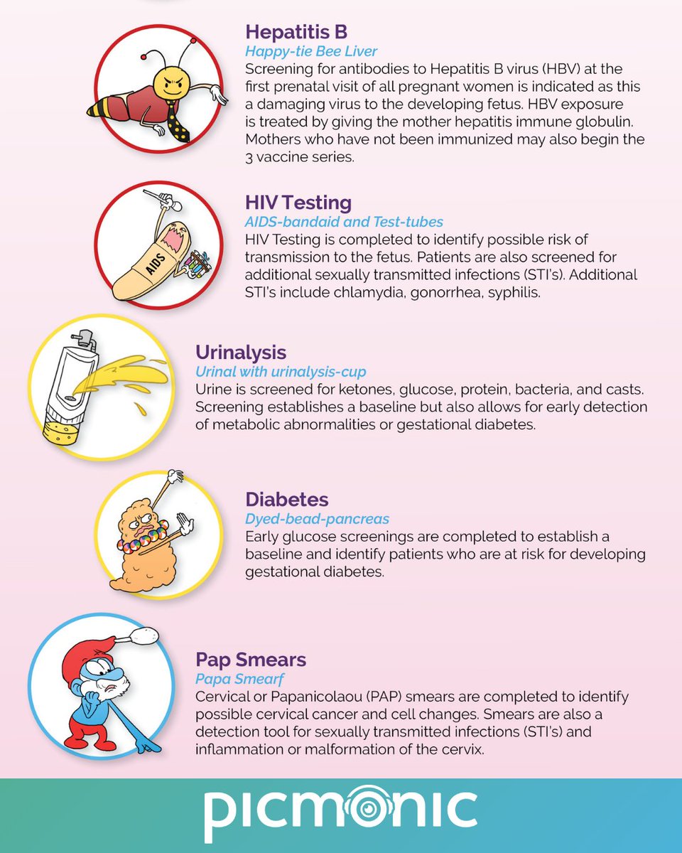 picmonic's tweet image. Learn about different lab and diagnostic tests during pregnancy with this Picmonic infographic!🤰

#pregnancy #labtests #diagnostic #prenatal #nursing #nursingstudent #nursingschool #medicine #medstudent #medschool #prehealth #healthcare #healthcarestudent #infographic #picmonic