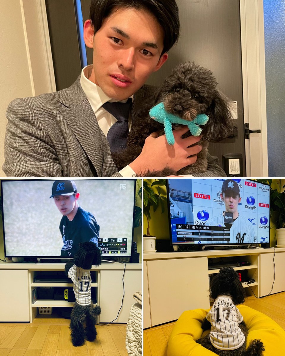 MLB's tweet photo. Roki Sasaki's dog is his biggest fan 🥹😭

(via @chibalotte) https://t.co/1W2ygHF6P5