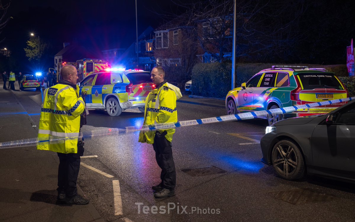 TeesPix.Photos tweet media