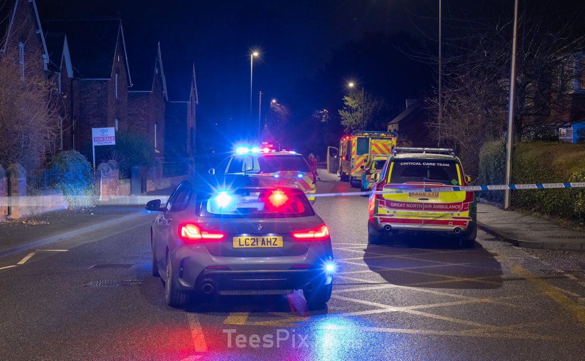 TeesPix.Photos tweet media