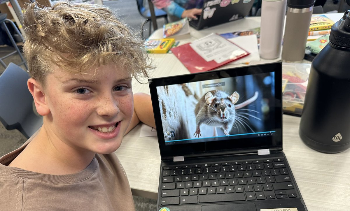 Karisa Schwanekamp tweet media