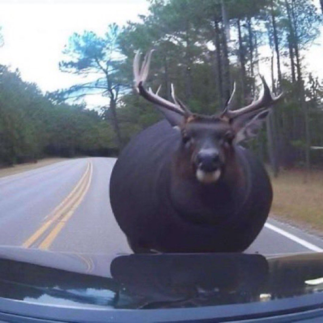 ConneldJonneld tweet media