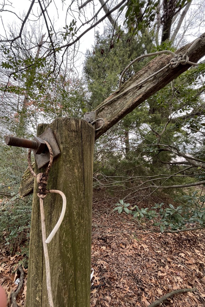 Matt15377276's tweet photo. Could someone please explain what this is? In back yard of a property I purchased. It is a 4x4 post about 10’ above ground and has a white copper wire running down into the ground approx 2 ft. Just curious and serious answers please. https://t.co/IYSkbR8MPJ