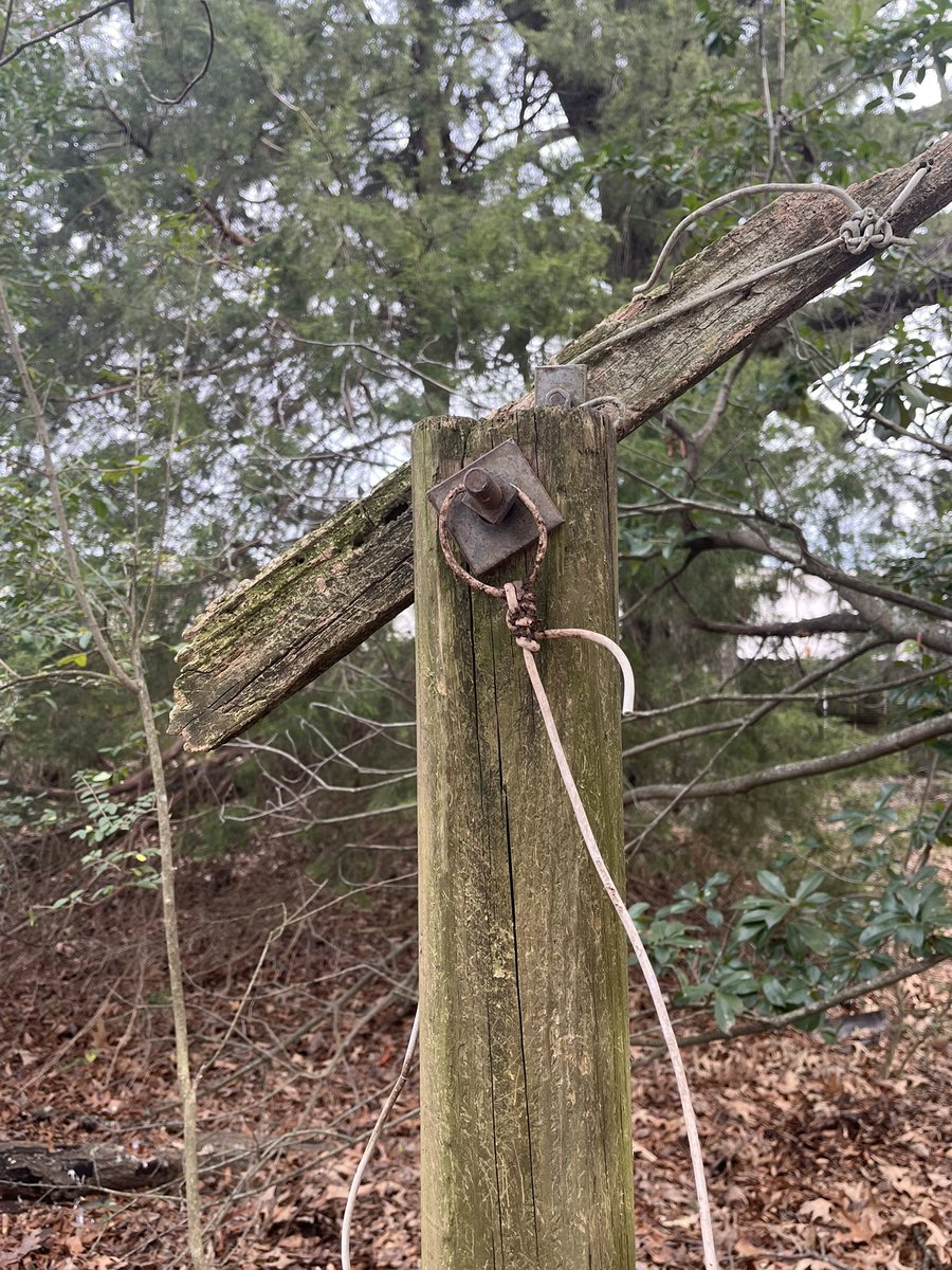 Matt15377276's tweet photo. Could someone please explain what this is? In back yard of a property I purchased. It is a 4x4 post about 10’ above ground and has a white copper wire running down into the ground approx 2 ft. Just curious and serious answers please. https://t.co/IYSkbR8MPJ