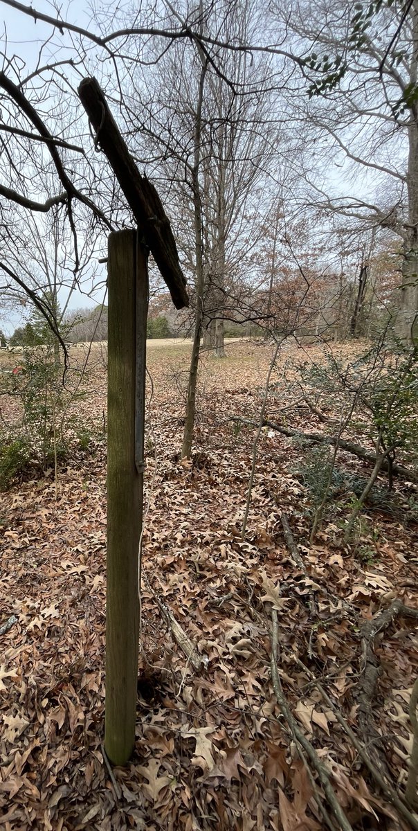 Matt15377276's tweet photo. Could someone please explain what this is? In back yard of a property I purchased. It is a 4x4 post about 10’ above ground and has a white copper wire running down into the ground approx 2 ft. Just curious and serious answers please. https://t.co/IYSkbR8MPJ