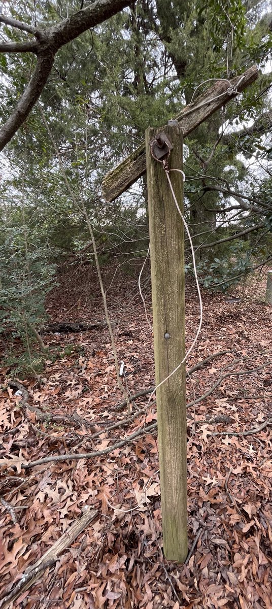 Matt15377276's tweet photo. Could someone please explain what this is? In back yard of a property I purchased. It is a 4x4 post about 10’ above ground and has a white copper wire running down into the ground approx 2 ft. Just curious and serious answers please. https://t.co/IYSkbR8MPJ