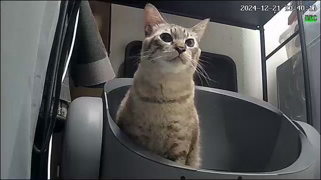 skhalilahmn_'s tweet photo. @yemmeow Best sangat pakai neakasa punya i dah pakai setahun 🥰 Sangat memudahkan kerja ye. https://t.co/g4pmHwn8sL