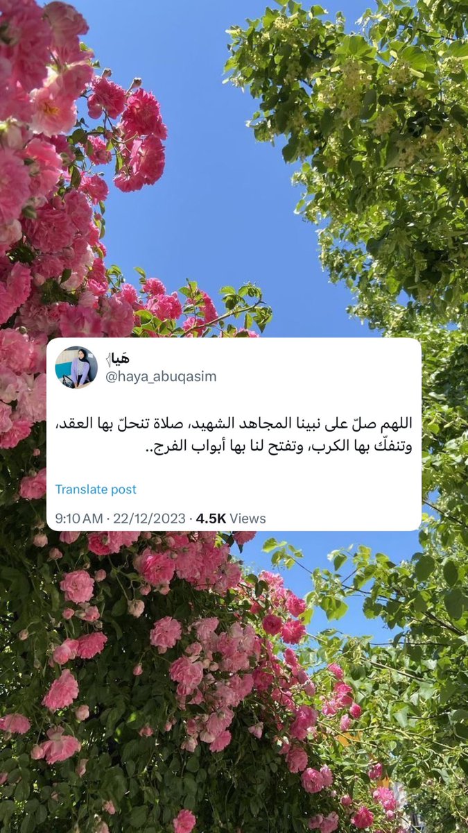 ذكِّر (@sadaqaabuqaseem) on Twitter photo 