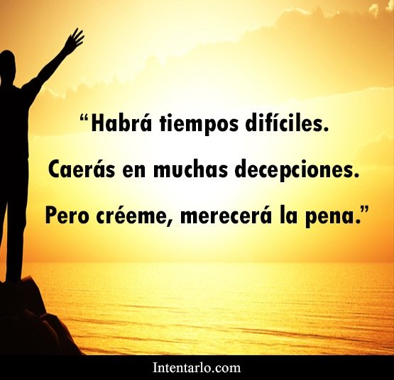 Blanca Acosta tweet media