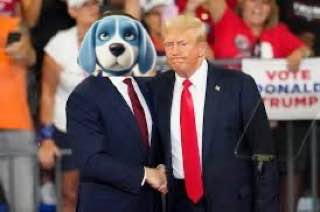 $Chewy | BASE tweet media