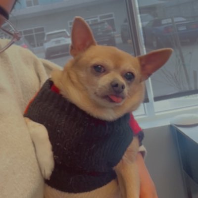 kitttyk123's tweet photo. #NewProfilePic https://t.co/u04TMxSCaP