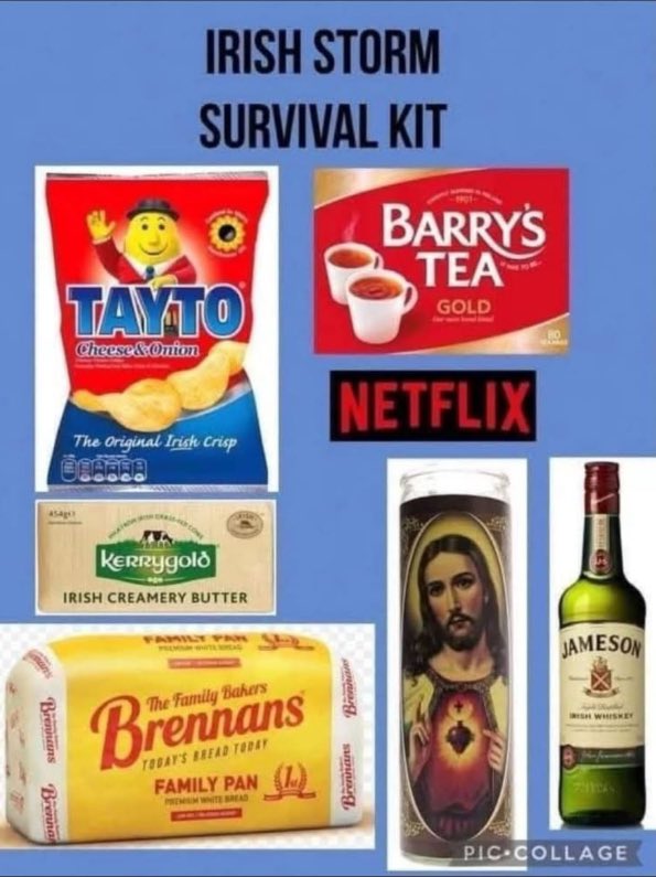 Aisling McNiffe 🇵🇸 🇺🇦 🏳️‍🌈🏳️‍⚧️ tweet media