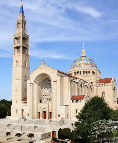 Dr Taylor Marshall™️ tweet media