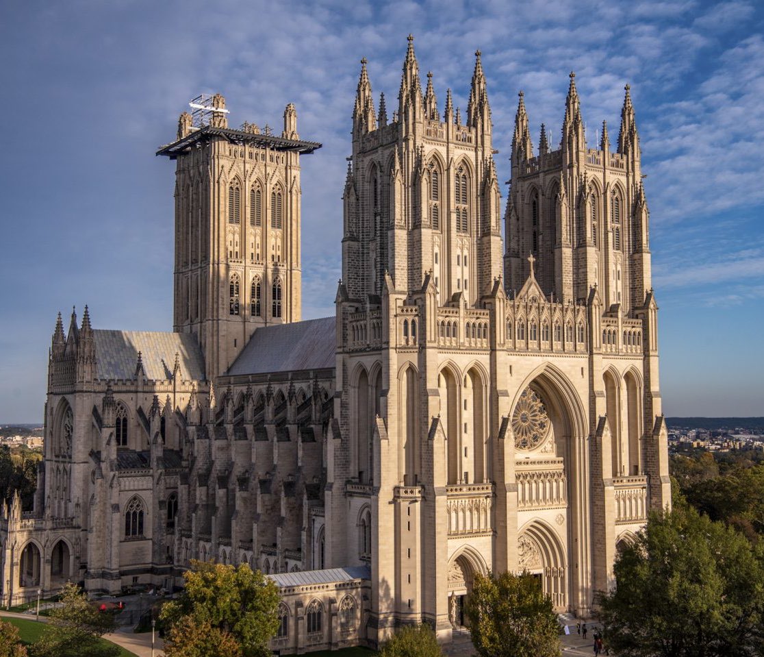 Dr Taylor Marshall™️ tweet media