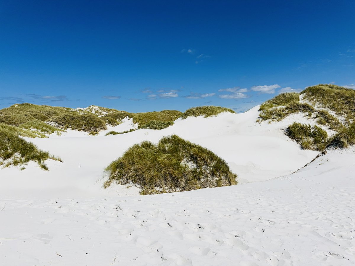 lady j🇲🇼🌎⚓️ tweet media