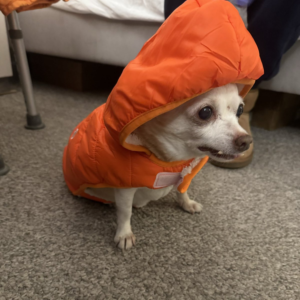 Why he wearing that? 🤔😂