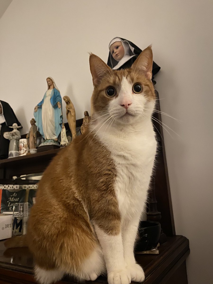 Start’ed an gorl gamng