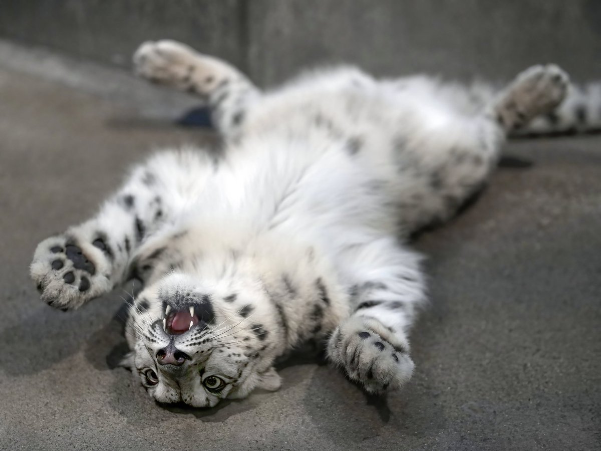 When you're mean to me this is who you're being mean to