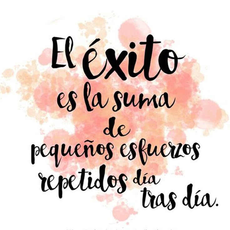 Blanca Acosta tweet media