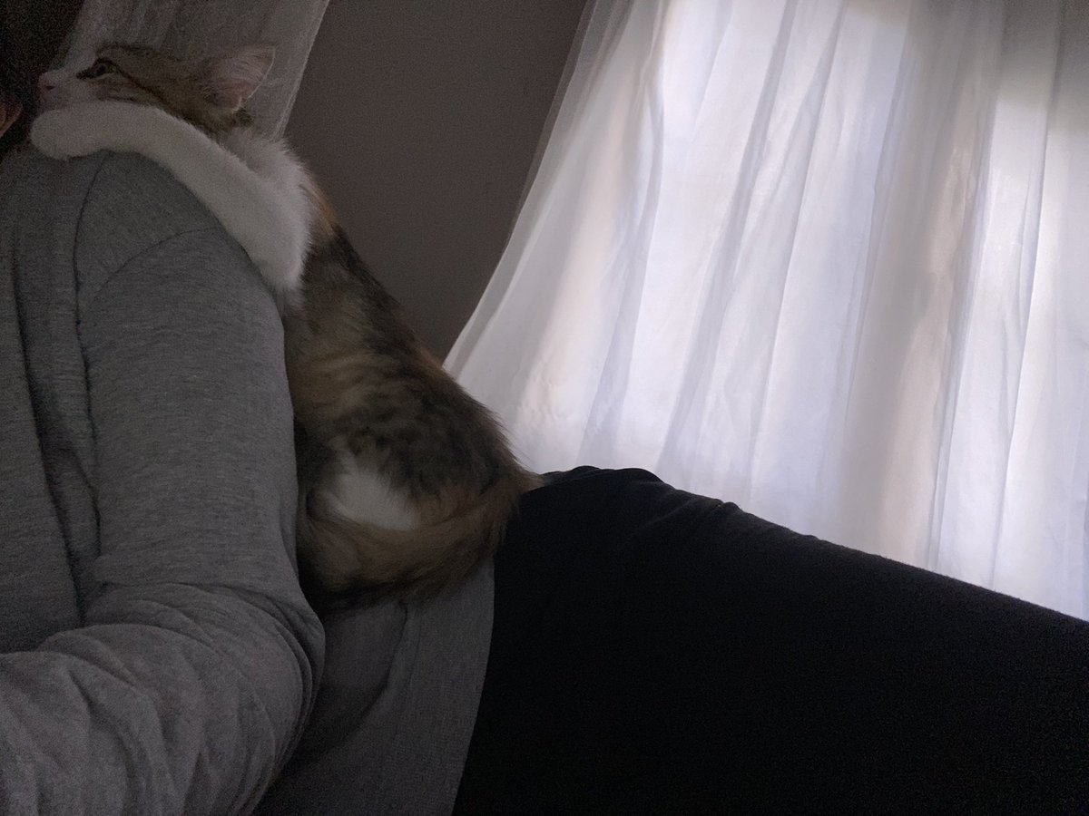 Gecenin rahatsız edicilik