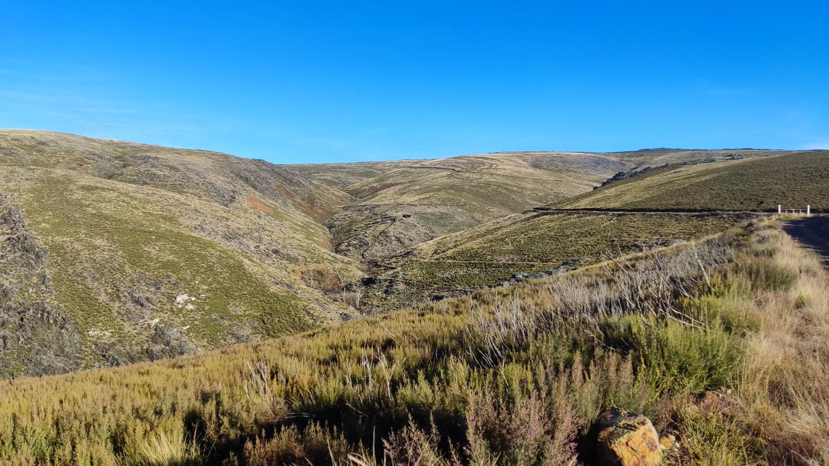 Montes de Camba, Laza (OU)
Zona afectada por IF en 2011 (820 ha) y posteriormente en el año 2022 (2.940 ha)