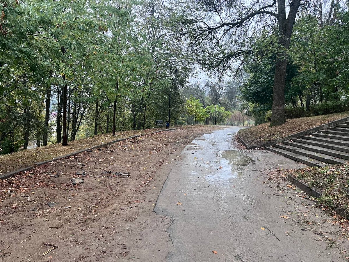 SaveSolomyanskiyPark tweet media