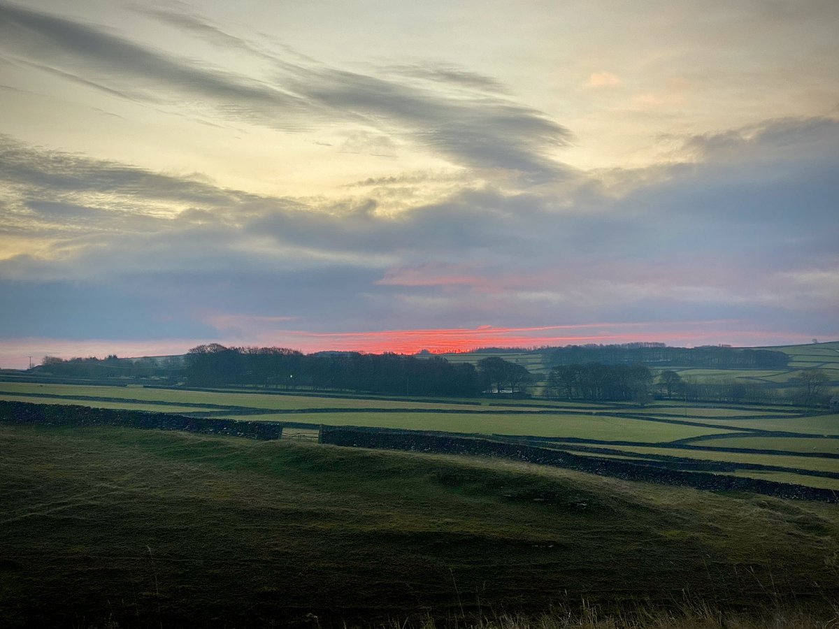 Stephen Morrison tweet media