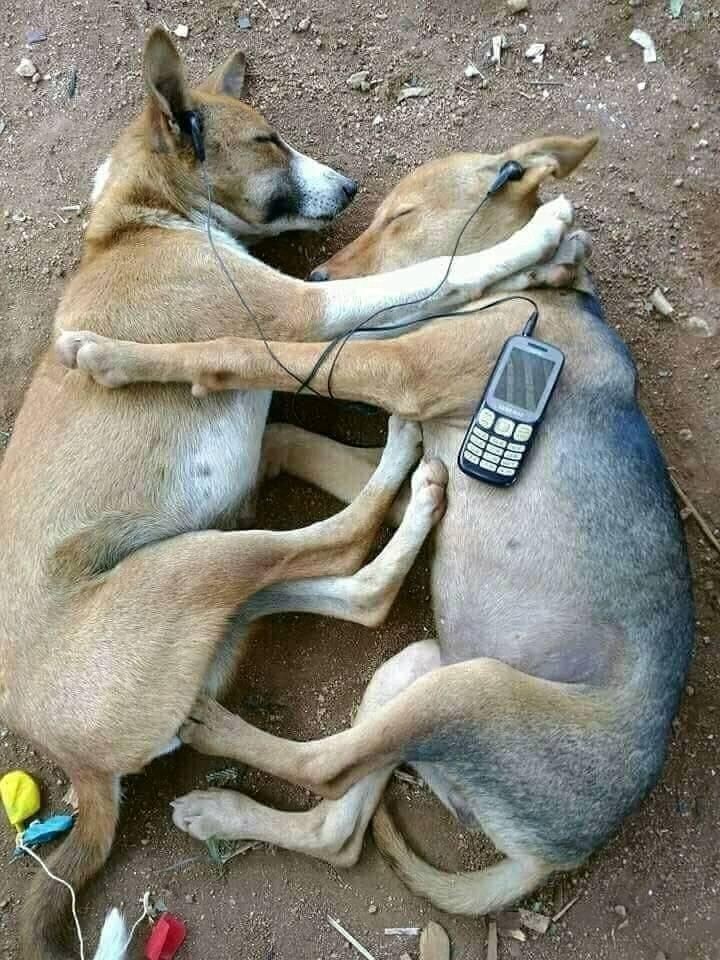 cracking_joe's tweet image. 😎😃