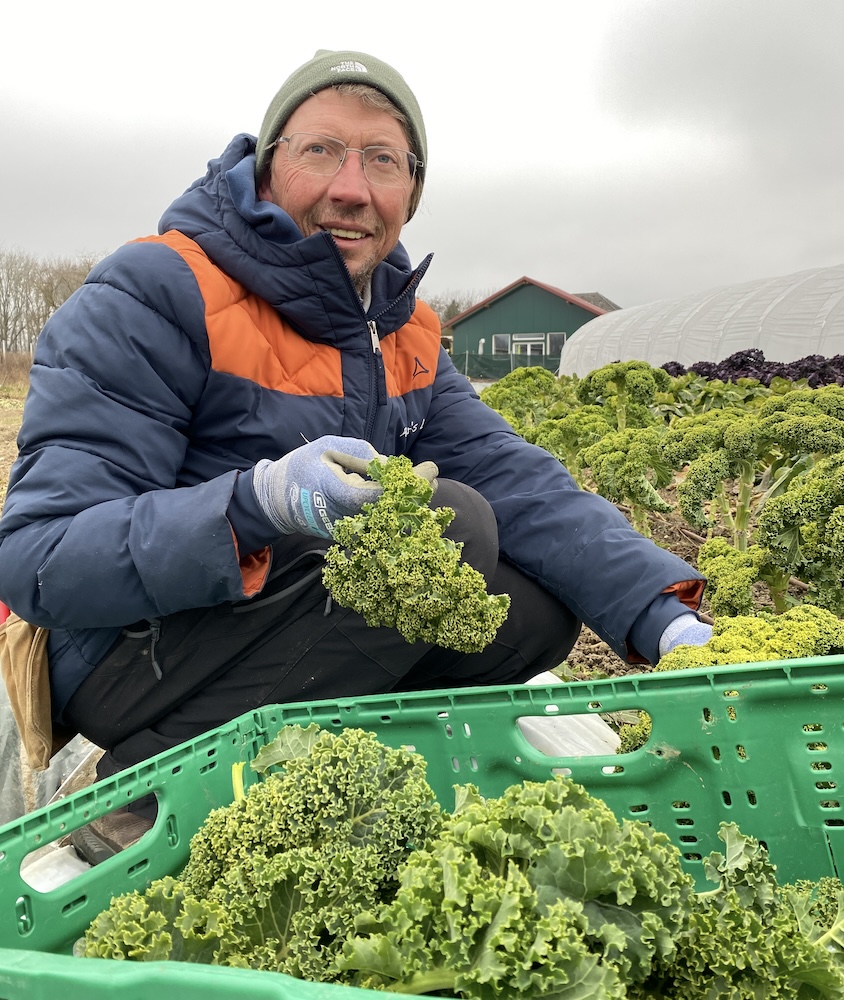 Petersland_at's tweet photo. 🌱 Frischer Grünkohl – direkt vom Feld! 🌱
Heute Morgen war ich für euch im Feld unterwegs und habe frischen Grünkohl geerntet. 🥬 Wusstet ihr, dass Grünkohl ein wahres Superfood ist? Er strotzt vor Vitaminen, Mineralstoffen und Antioxidantien – perfekt für die kalte Jahreszeit https://t.co/VK9dAv2wNr