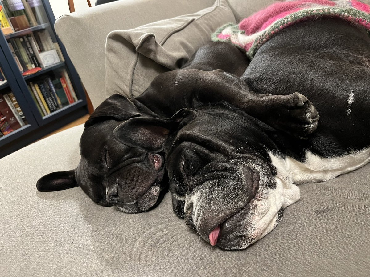 @fastmissile.bsky.social tweet media